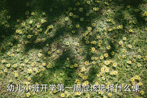正规幼儿园小班课程表，有谁知道幼儿园小班中班大班有哪几门课程我想去做幼师拜托