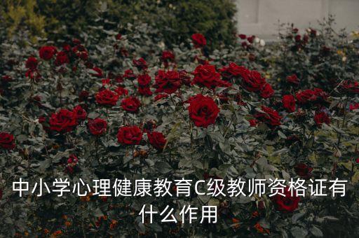 中小学心理健康教育C级教师资格证有什么作用