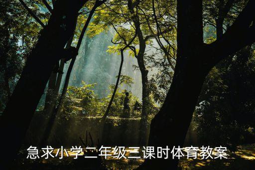 小学二年级体育教案100篇，谁有一二三年级体操教案各1份