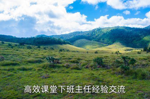 高效课堂下班主任经验交流