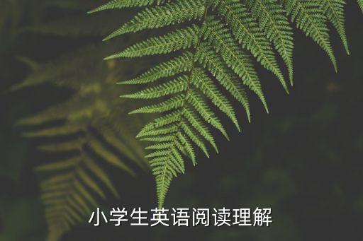 小学生英语阅读理解