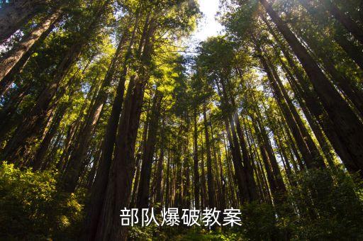 部队爆破教案