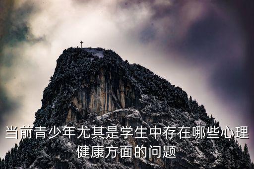 当前青少年尤其是学生中存在哪些心理健康方面的问题
