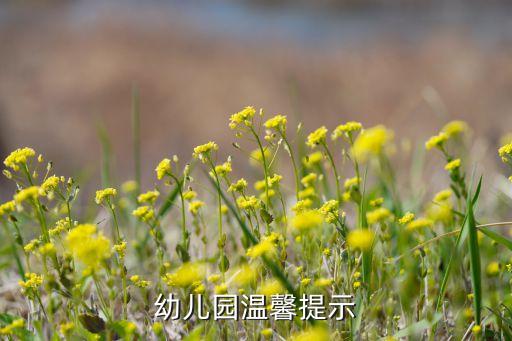 幼儿园温馨提示