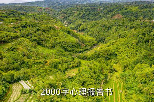 2000字心理报告书