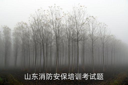 山东消防安保培训考试题