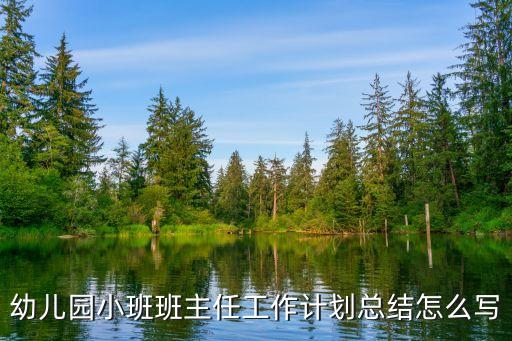 幼儿园小班班主任工作计划总结怎么写