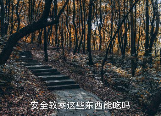 部队饮食安全教案大班，食品安全的课件