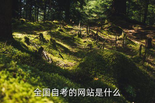 全国自考的网站是什么