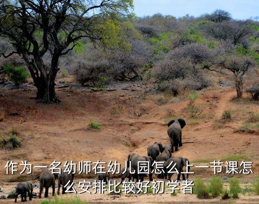 作为一名幼师在幼儿园怎么上一节课怎么安排比较好初学者
