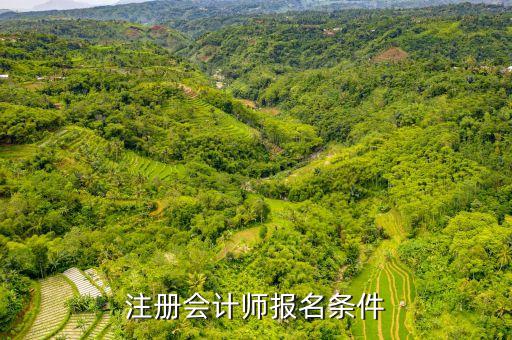 注册会计师报名条件