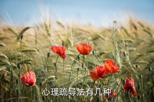 心理疏导法有几种