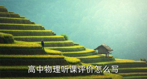 高中物理听课评价怎么写