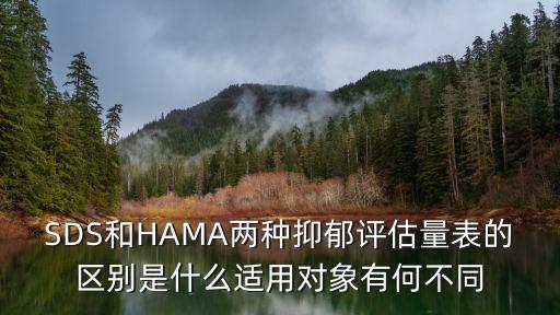 SDS和HAMA两种抑郁评估量表的区别是什么适用对象有何不同