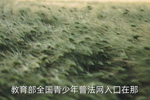 教育部全国青少年普法网入囗在那