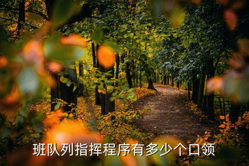 班队列的指挥口令图，班队列指挥程序有多少个口领