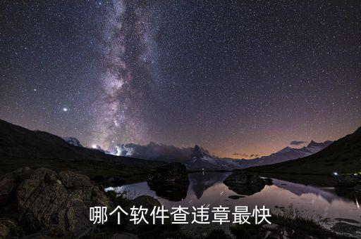 哪个软件查违章最快