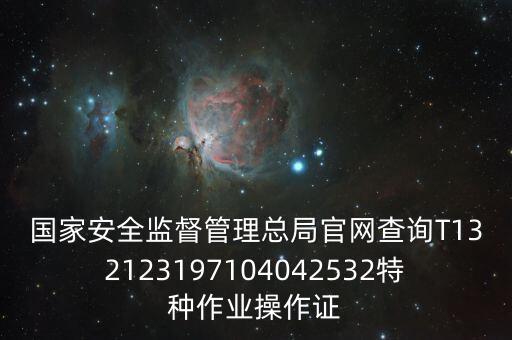 国家安全监督管理总局官网查询T132123197104042532特种作业操作证