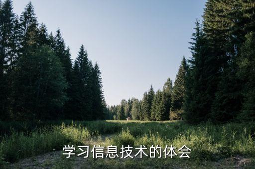 学习信息技术的体会