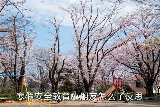 寒假安全教育小朋友怎么了反思