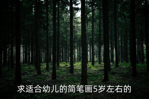 求适合幼儿的简笔画5岁左右的