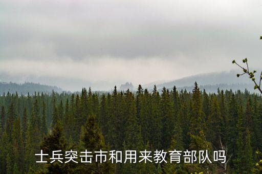 士兵突击市和用来教育部队吗
