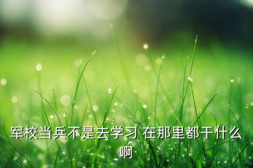 当兵的上教育是干什么，当兵两年多了到教导队去一个多月是干什么得