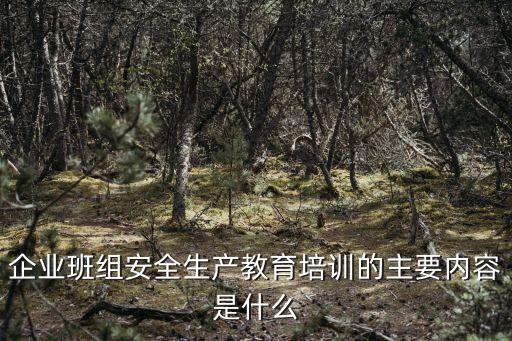 企业班组安全生产教育培训的主要内容是什么