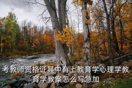 教育学活动教案，教育学教案  课外教育工作