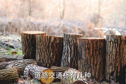 道路交通标有几种
