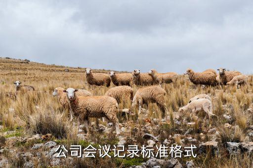 公司会议记录标准格式