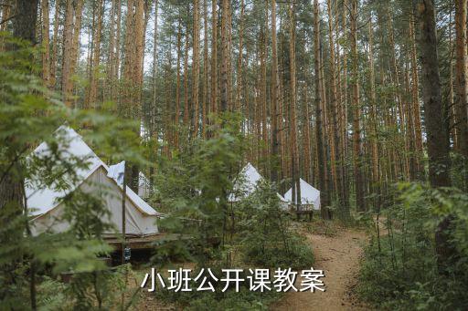 小班公开课教案