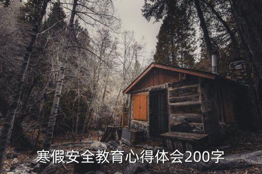 寒假安全教育心得体会200字