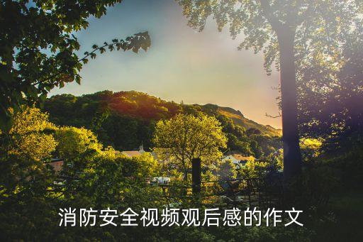 消防安全视频观后感的作文