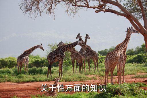 性知识基本常识，两性知识