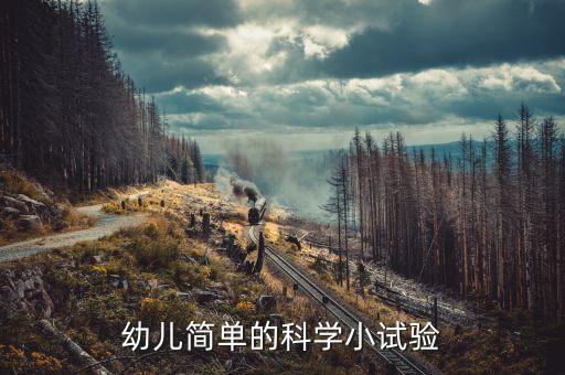 幼儿简单的科学小试验