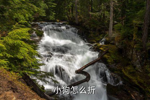 小狗怎么折