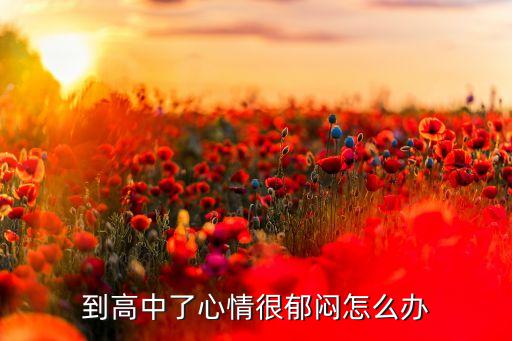 到高中了心情很郁闷怎么办