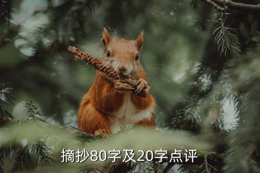 摘抄80字及20字点评