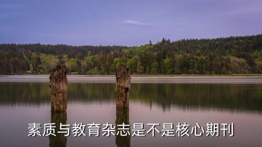 素质教育期刊，素质教育是国家级的刊物吗