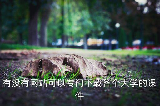 大学教案下载网站，请问在那里可与下载到大学各门科目的课件或者资料