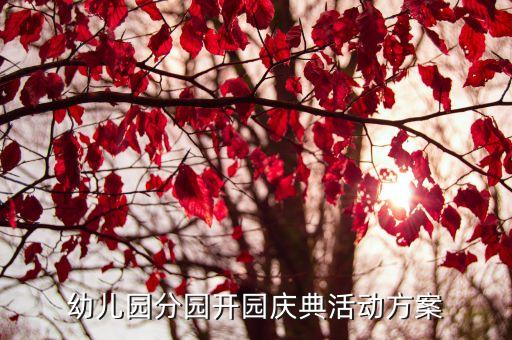 幼儿园开学活动方案名称，怎样策划新幼儿园开园活动