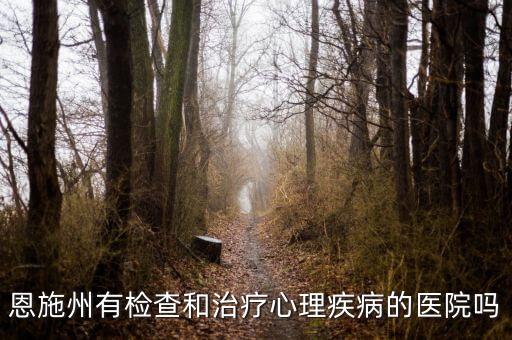 恩施州有检查和治疗心理疾病的医院吗