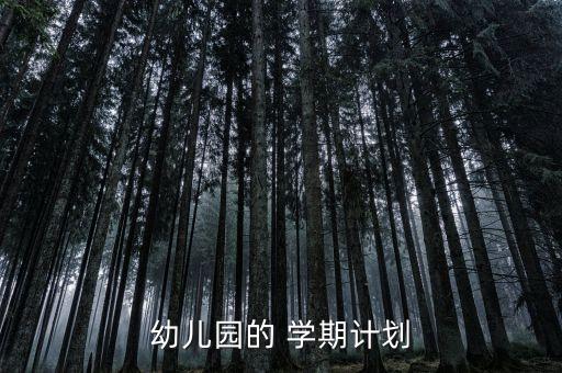 幼儿园开学计划大班下学期，幼儿园的 学期计划