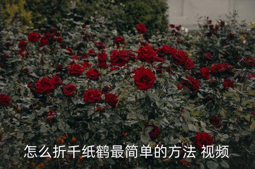 怎么折千纸鹤最简单的方法 视频
