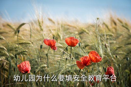 幼儿安全教育平台的作用，幼儿园安全管理系统主要是用来干嘛的