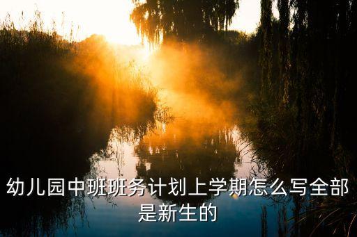 幼儿园中班班务计划上学期怎么写全部是新生的