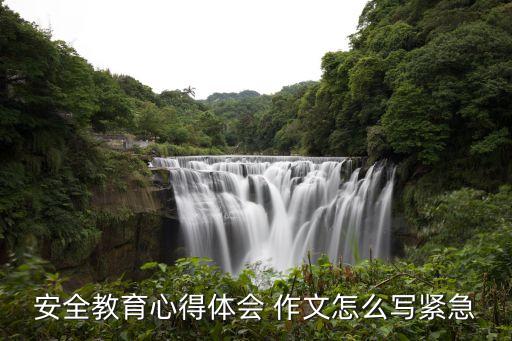 安全教育心得体会 作文怎么写紧急