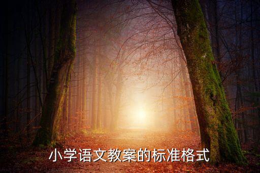 教案文档标准格式，教案的标准格式是什么