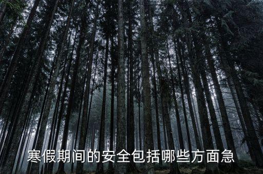 寒假期间的安全包括哪些方面急